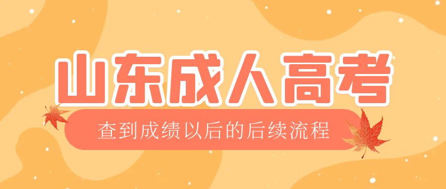禹城成考查完成绩以后做什么，禹城成考网